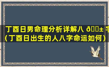 丁酉日男命理分析详解八 🐱 字（丁酉日出生的人八字命运如何）